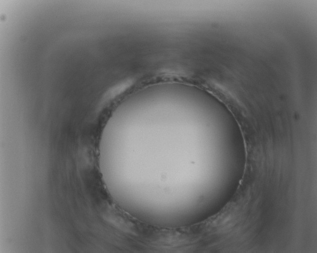 X0000062931207200601202018