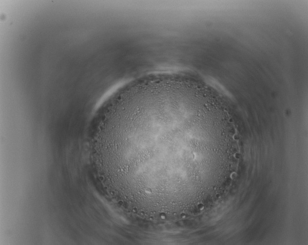 X0000062931208200601202018