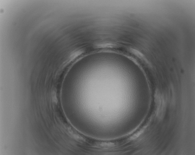 X0000062931209200601202018