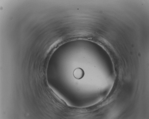 X0000062931210200601202018