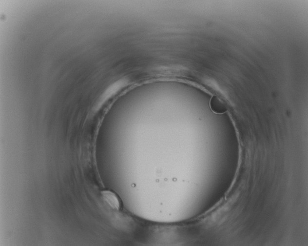 X0000062931211200601202018