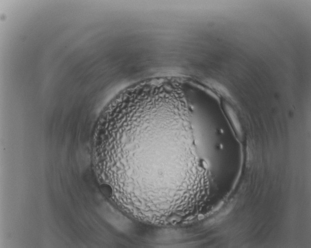 X0000062931212200601202018