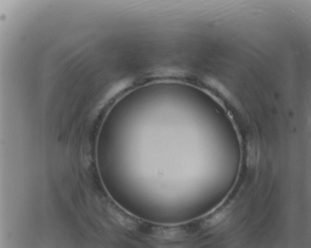 X0000062931213200601202018