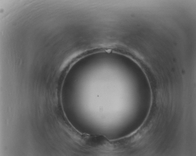 X0000062931214200601202018