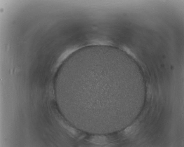 X0000062931215200601202018