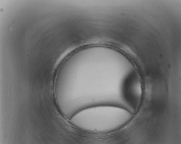 X0000062931216200601202018