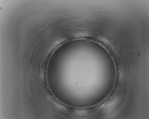 X0000062931217200601202018