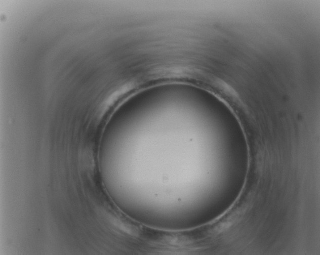 X0000062931218200601202018