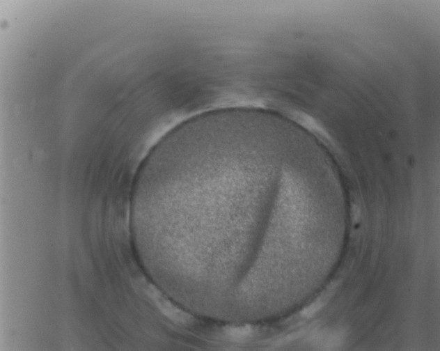 X0000062931220200601202018