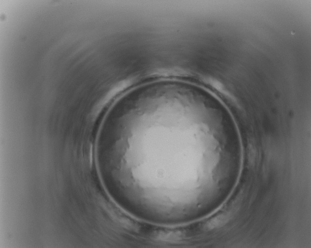 X0000062931221200601202018