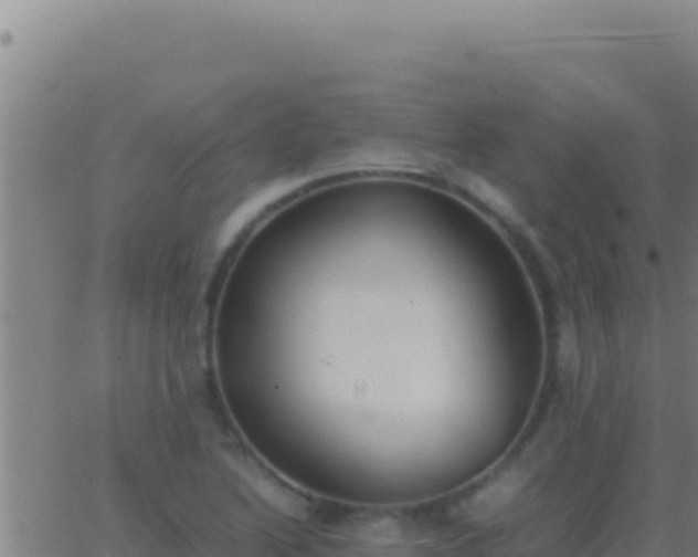 X0000062931222200601202018