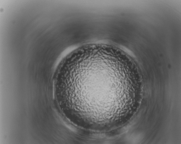 X0000062931223200601202018