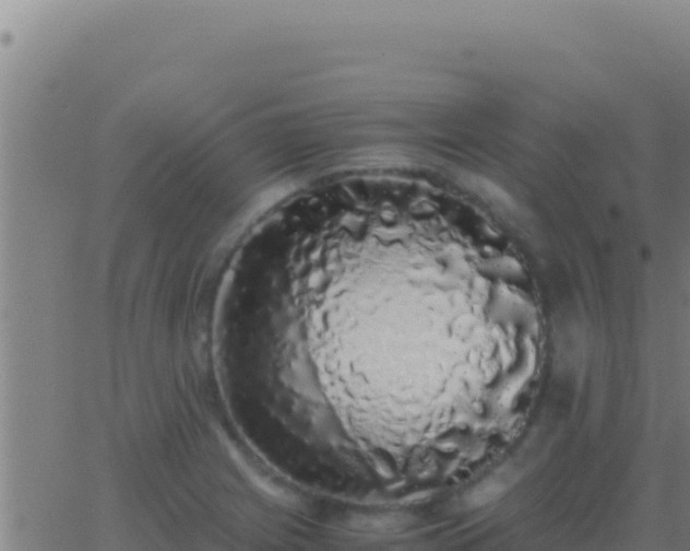 X0000062931225200601202018