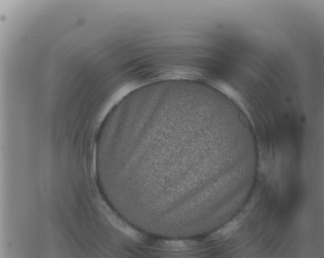 X0000062931227200601202018