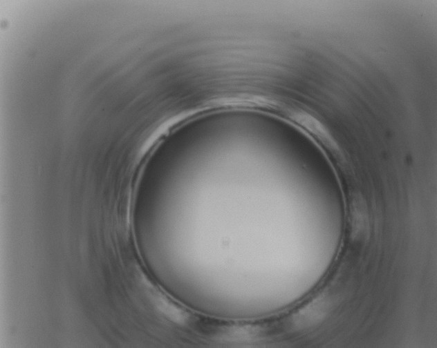 X0000062931228200601202018