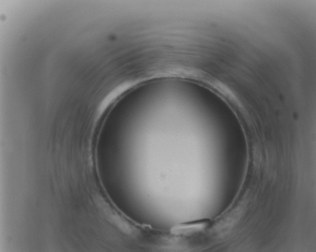 X0000062931230200601202018