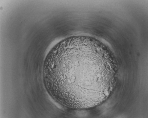 X0000062931231200601202018