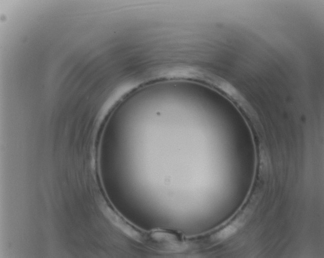 X0000062931232200601202018