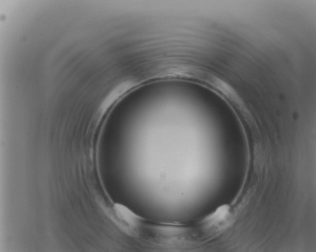 X0000062931234200601202018