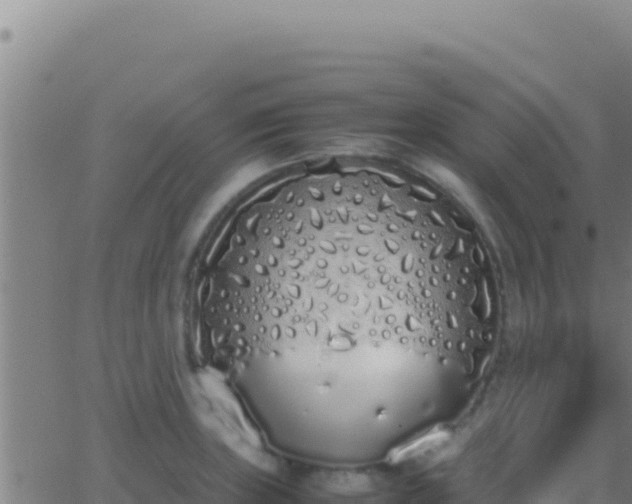 X0000062931235200601202018