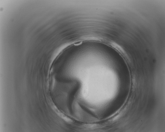 X0000062931236200601202018