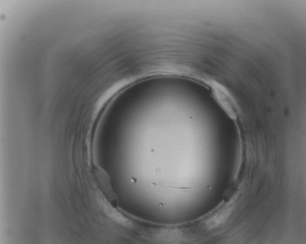 X0000062931238200601202019