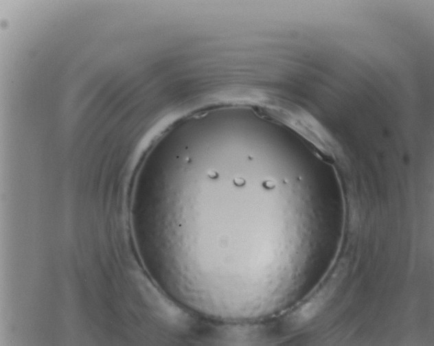 X0000062931240200601202019