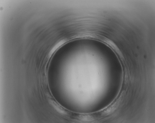 X0000062931242200601202019