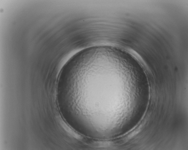 X0000062931244200601202019