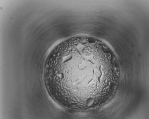 X0000062931245200601202019