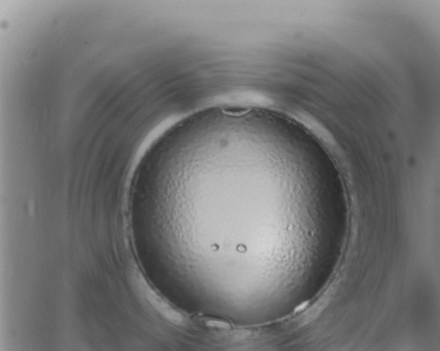 X0000062931248200601202019