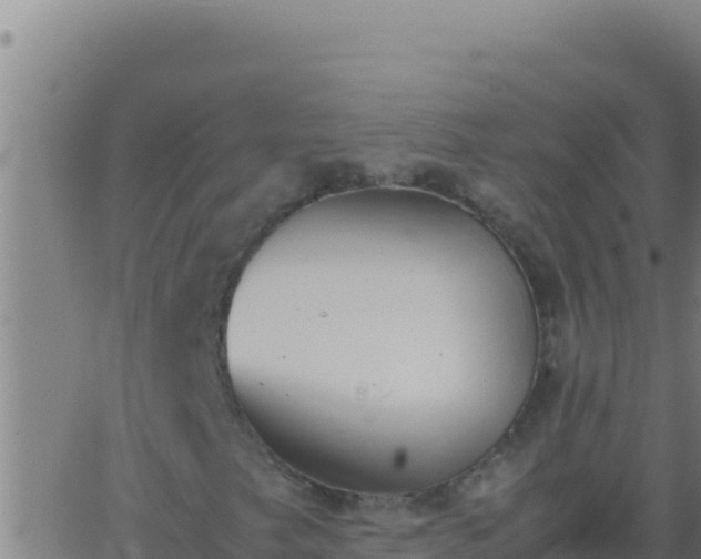 X0000062931249200601202018