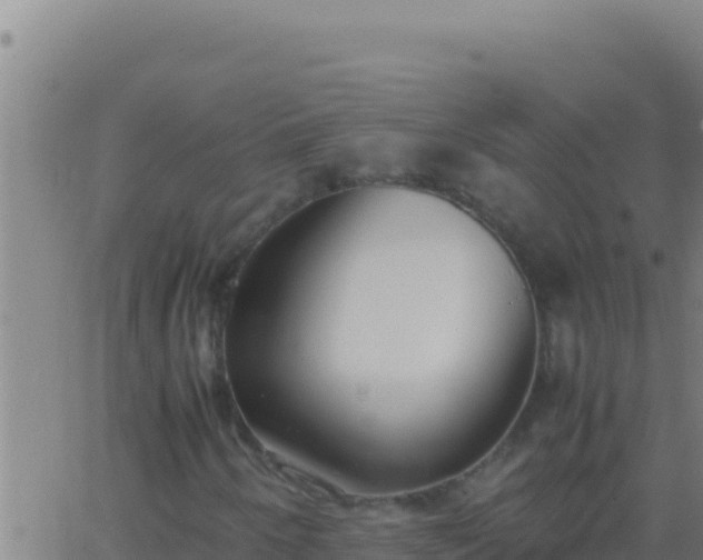 X0000062931250200601202018