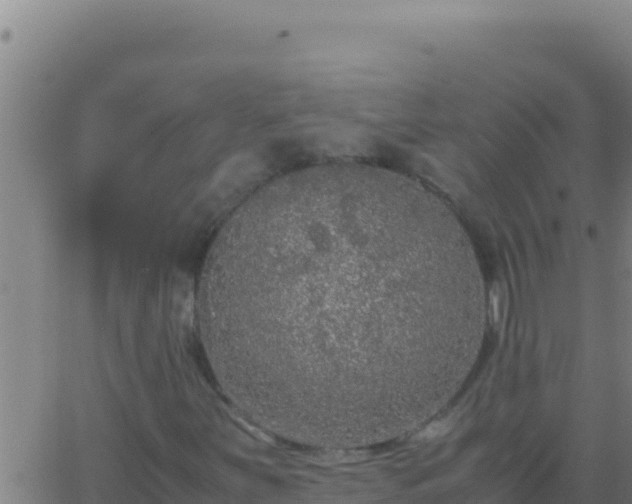 X0000062931251200601202018