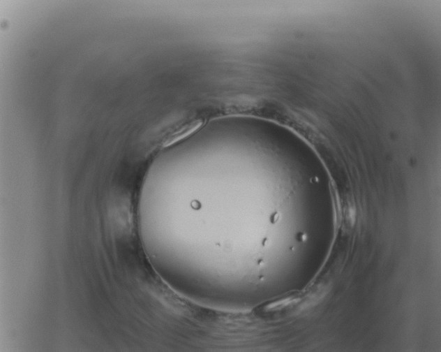 X0000062931252200601202018