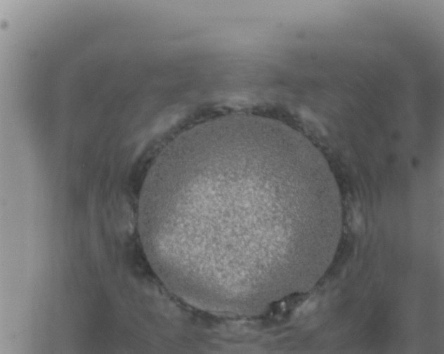 X0000062931253200601202018