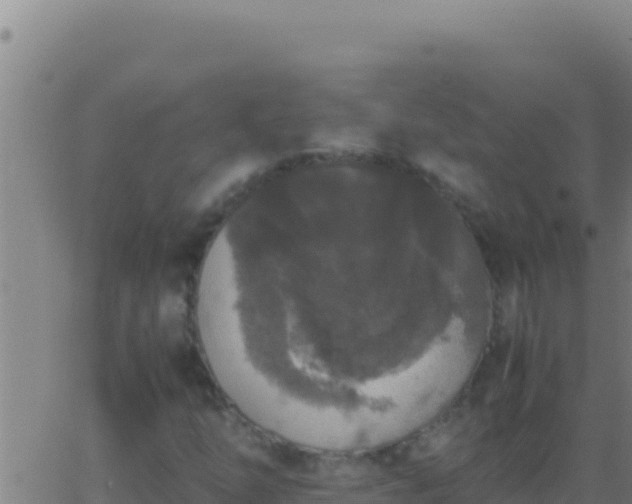 X0000062931254200601202018