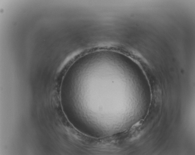 X0000062931256200601202018