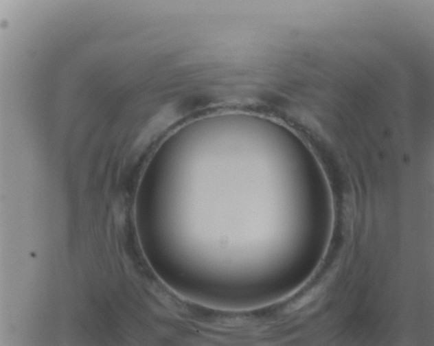 X0000062931257200601202018