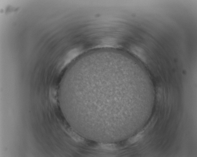 X0000062931258200601202018