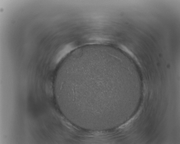 X0000062931259200601202018