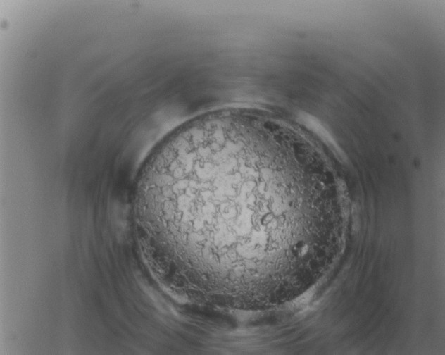 X0000062931260200601202018