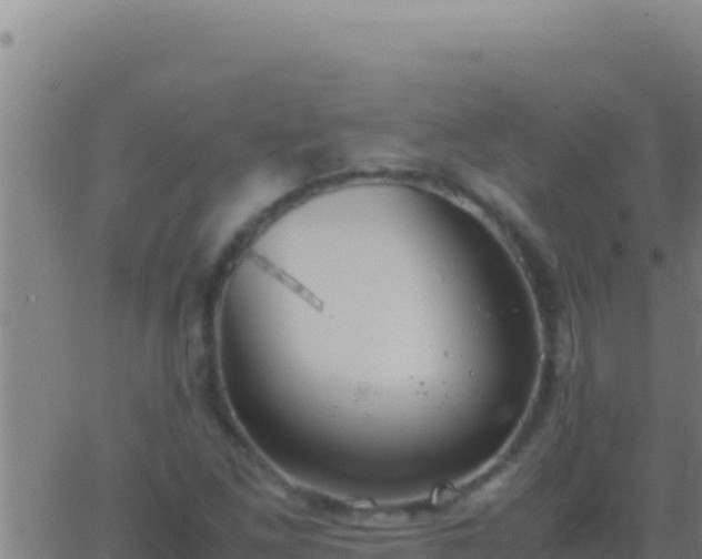 X0000062931261200601202018