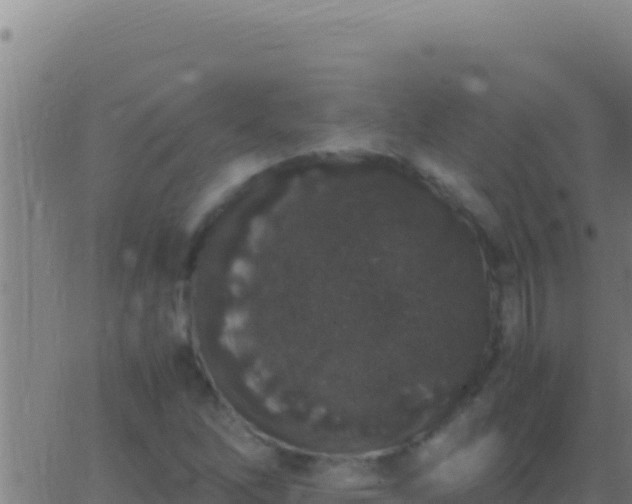 X0000062931262200601202018