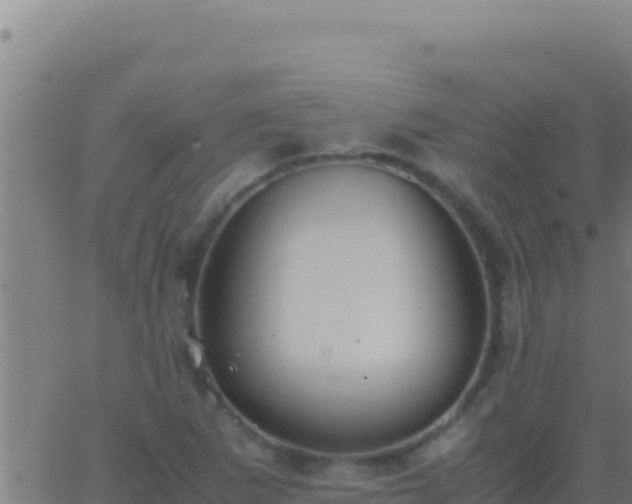 X0000062931265200601202018