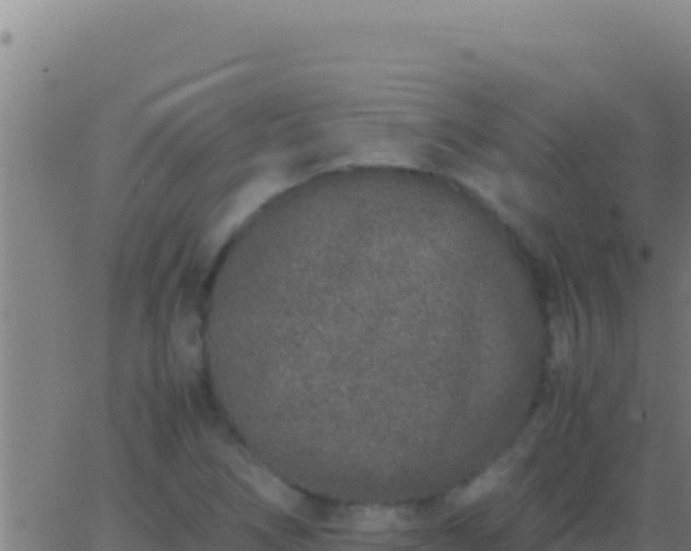 X0000062931266200601202018