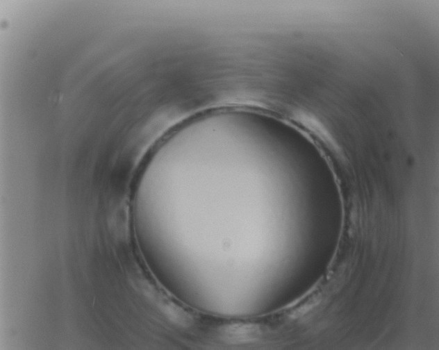 X0000062931268200601202018