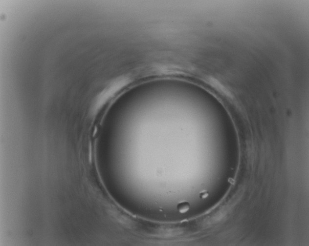 X0000062931269200601202018