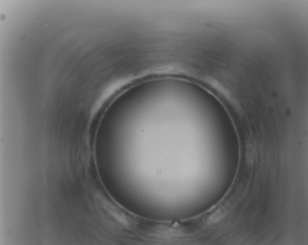 X0000062931270200601202018