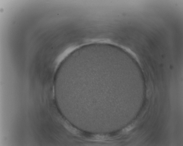 X0000062931271200601202018